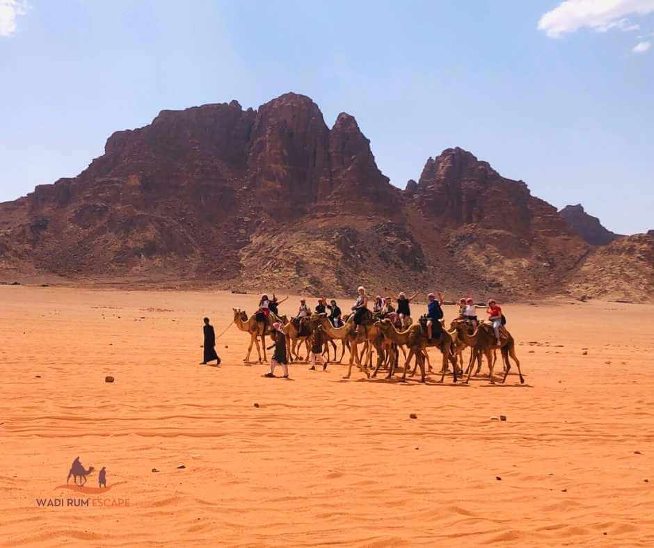 unta wadi rum.jpg