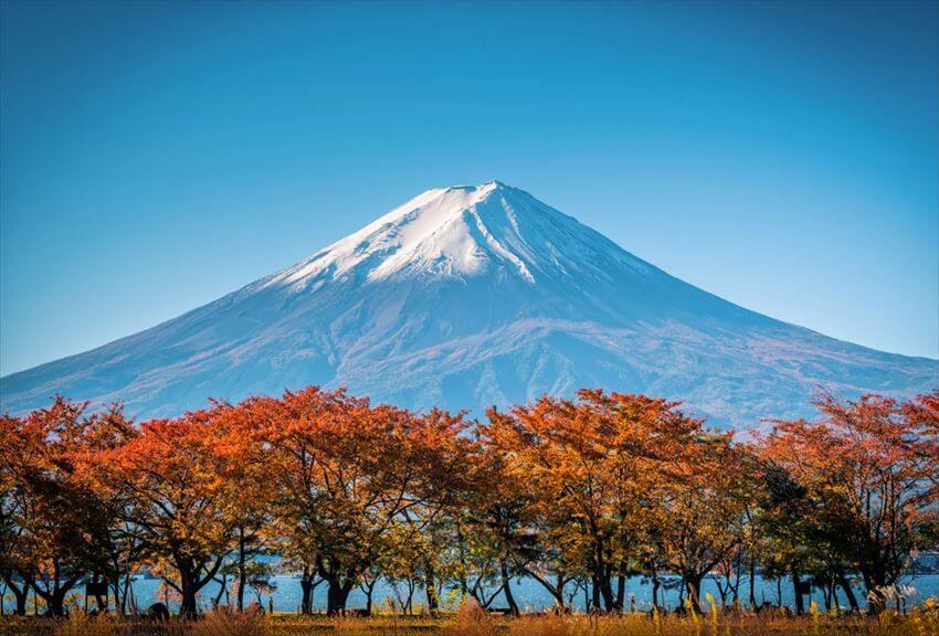 gunung fuji artikel.jpg