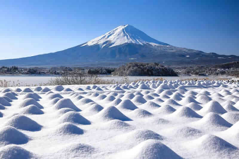 fuji winter.jpg