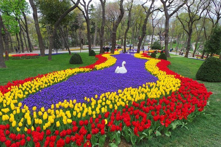 Pemandangan Bunga Tulip berwarna-warni yang sedang Bermekaran di Emirgan Park, Istanbul