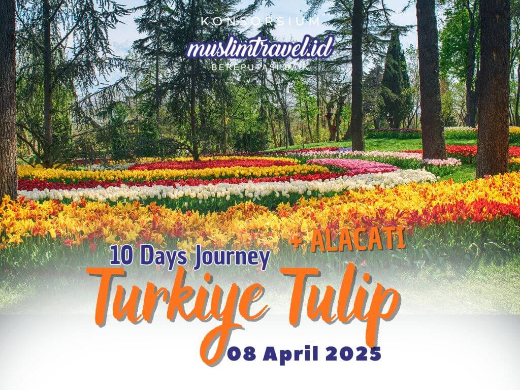 Flyer Paket Turkiye Tulip - 08 April 2025