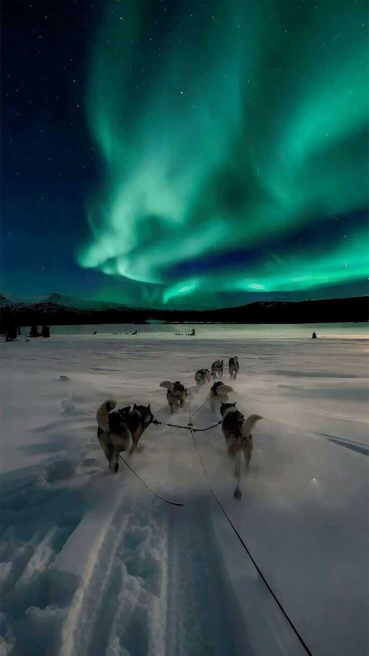 WhatsApp Image 2025-06-25 at 13.45.26.jpeg