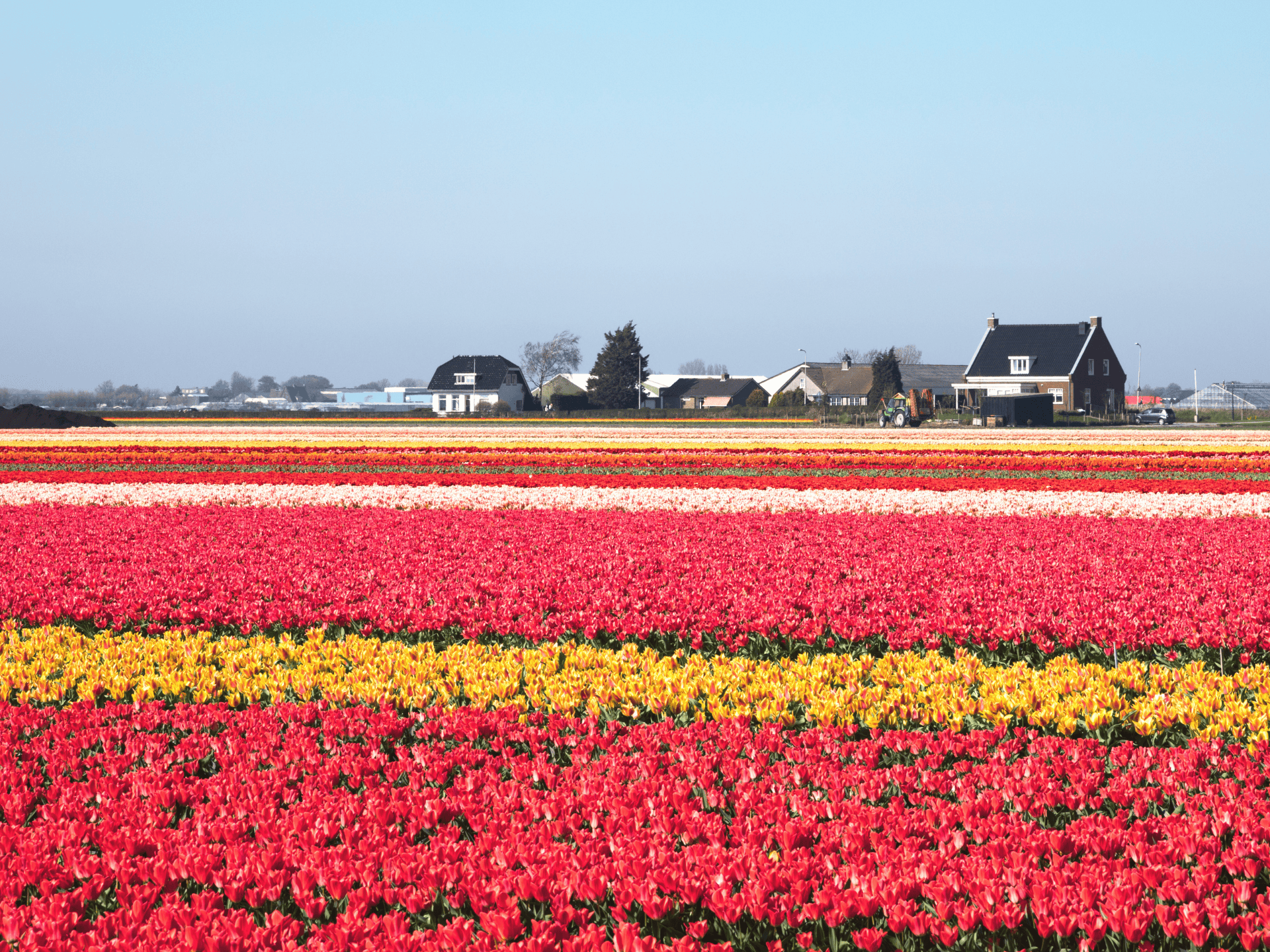 POP UP WEBSITE (32).png