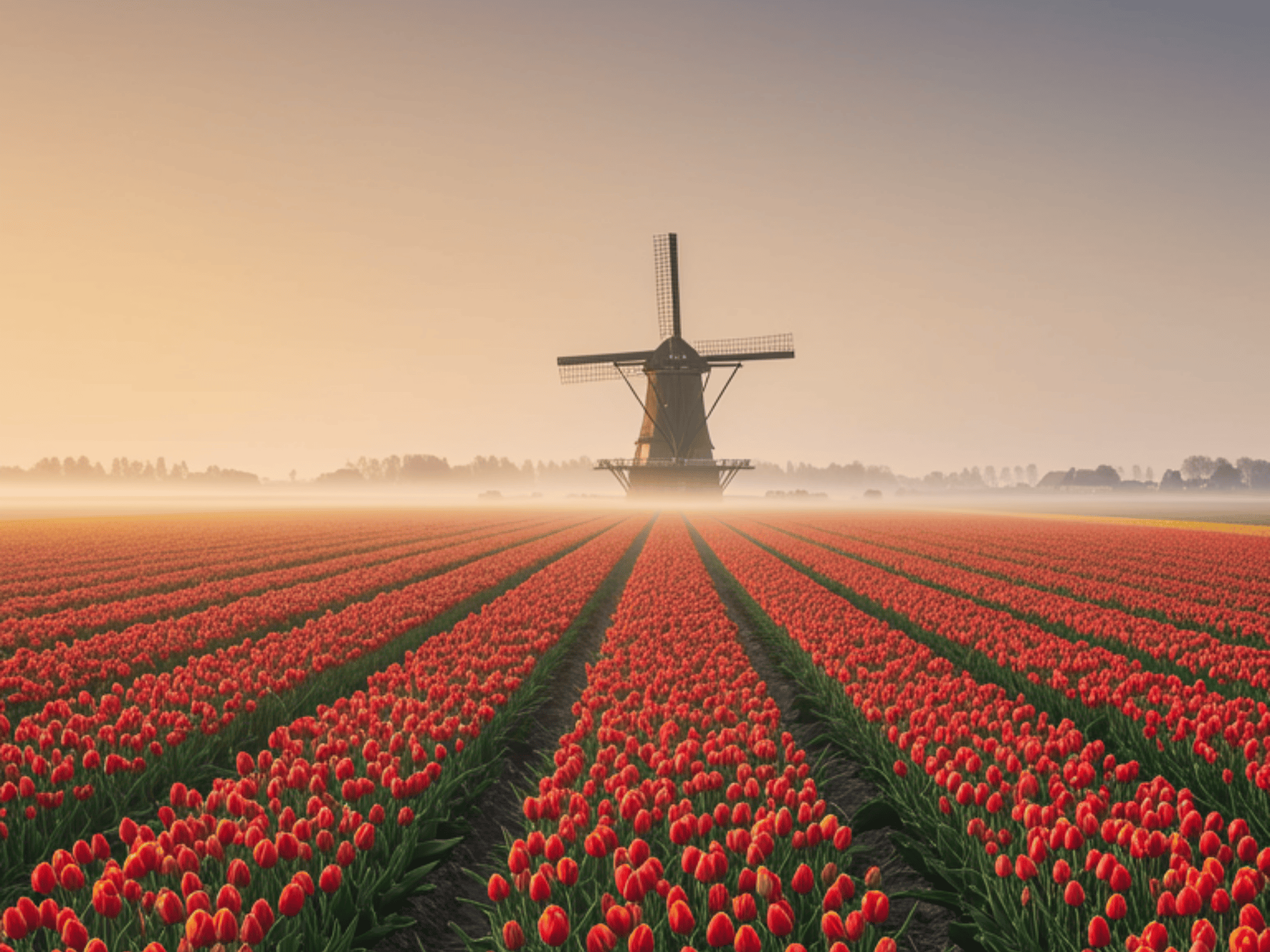 POP UP WEBSITE (30).png