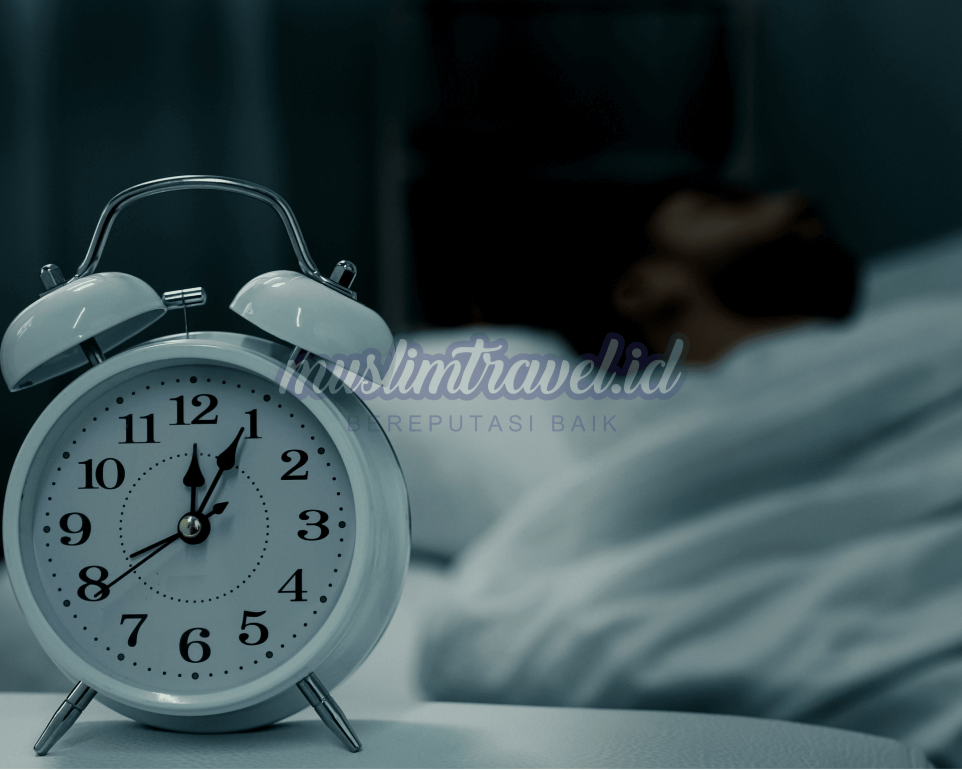 all web Artikel dll (18).png