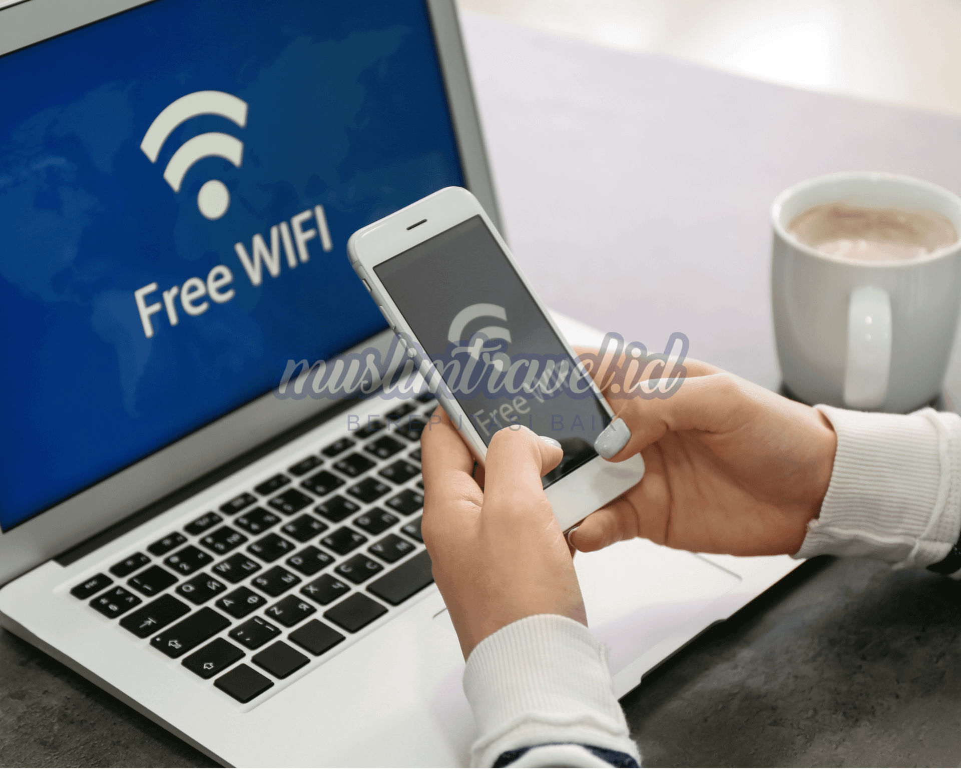 all web Artikel dll (21).png