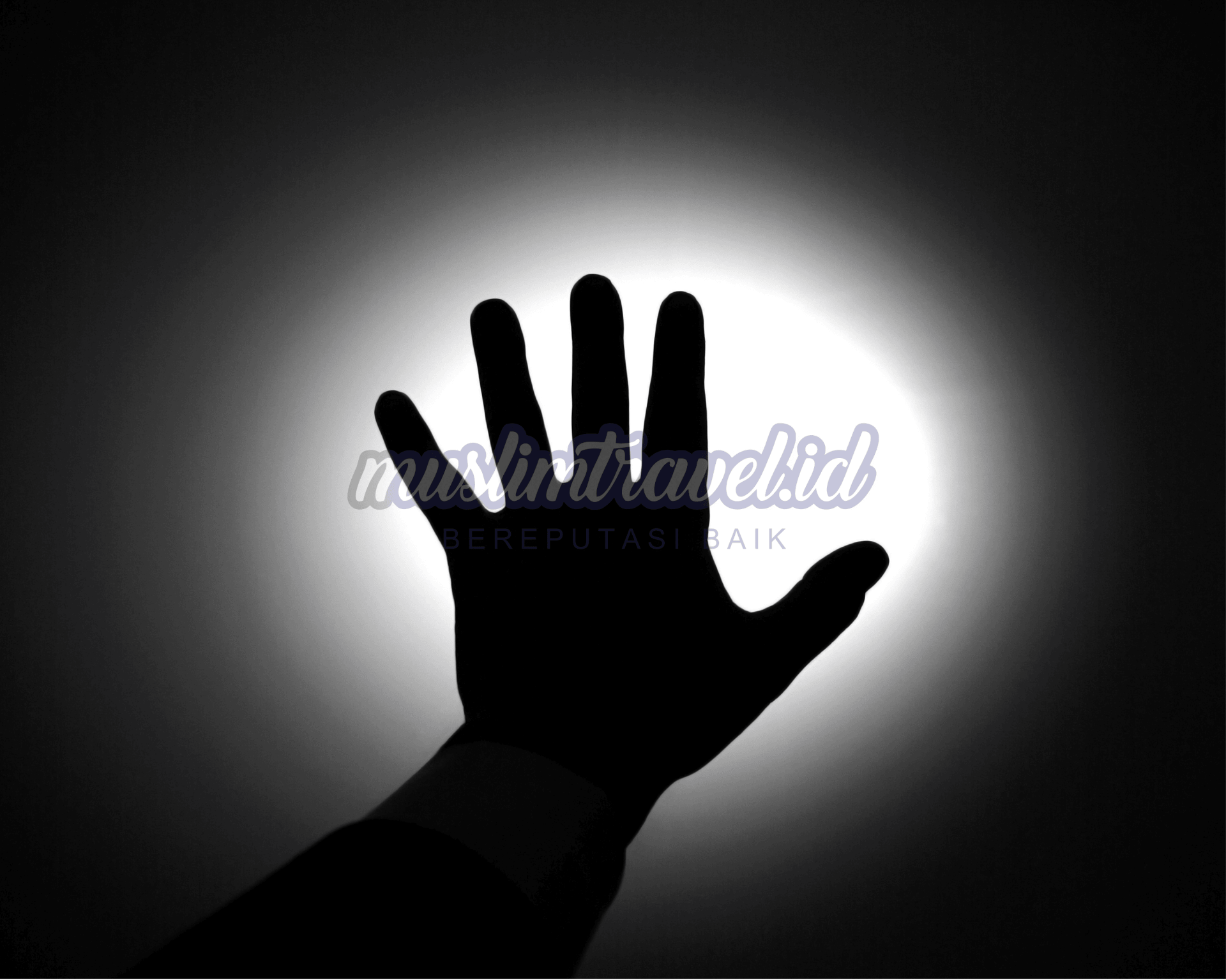 all web Artikel dll (8).png