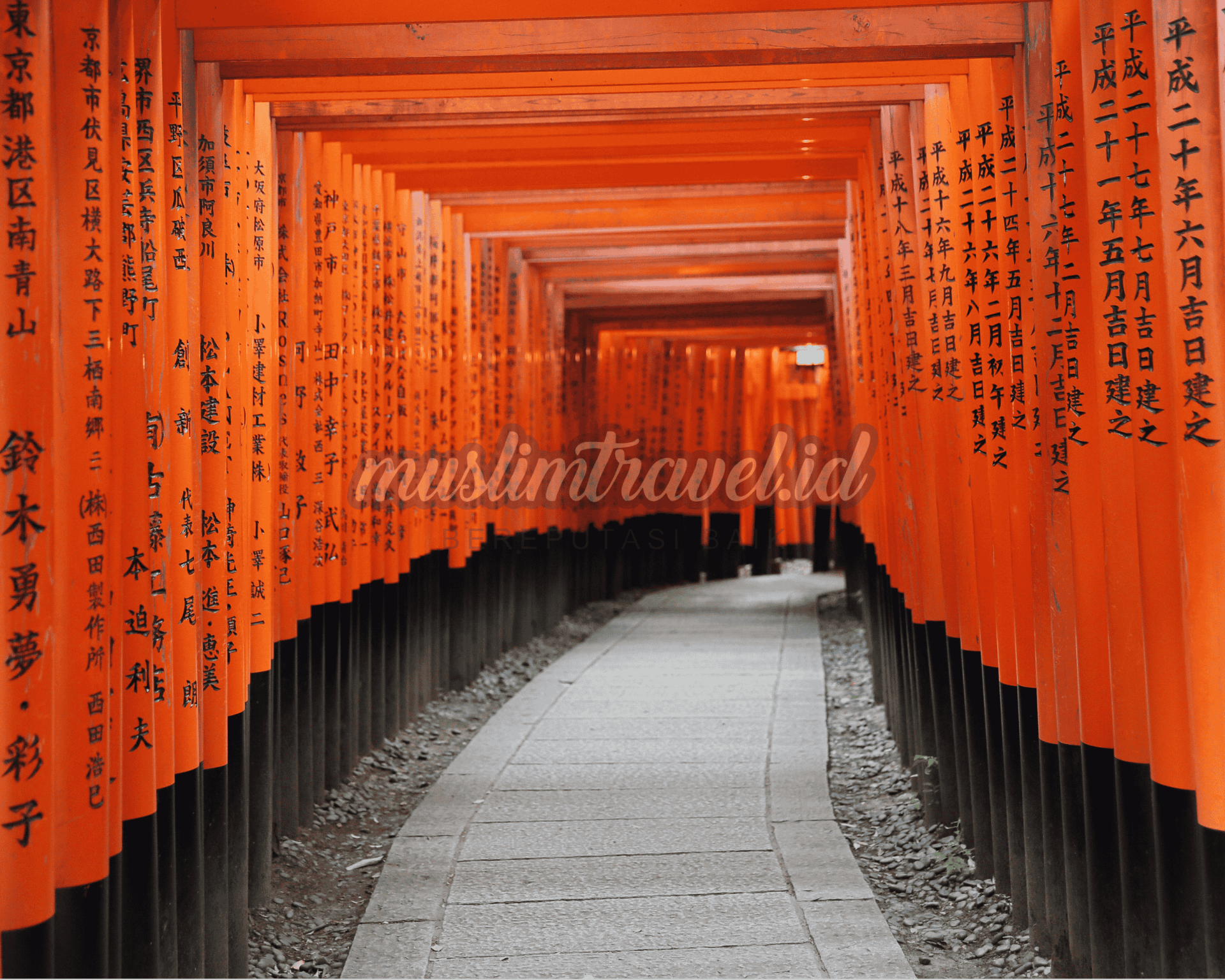 all web Artikel dll (8).png