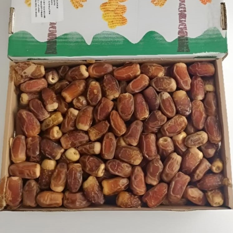 kurma sagai.jpg