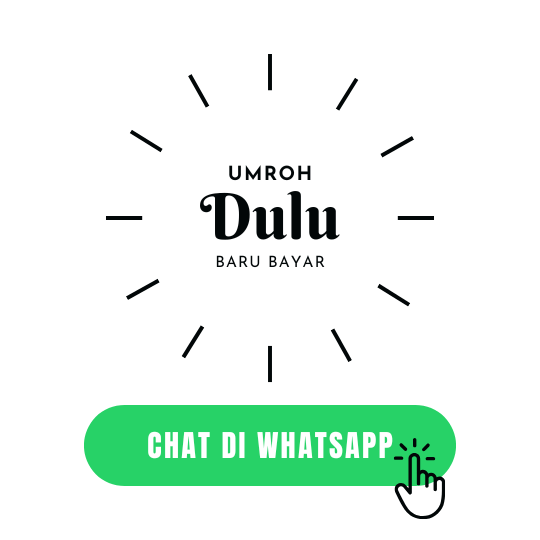 Chat on Whatsapp (1).png