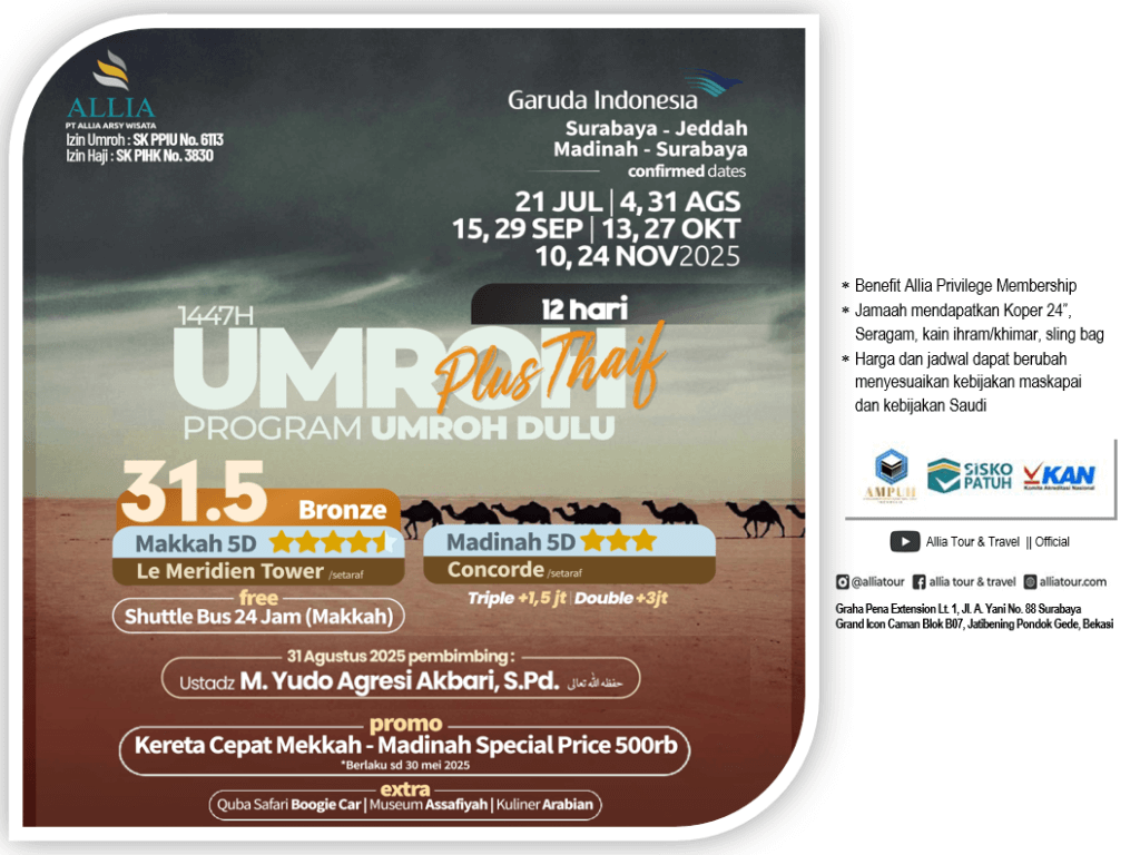 Flyer 7