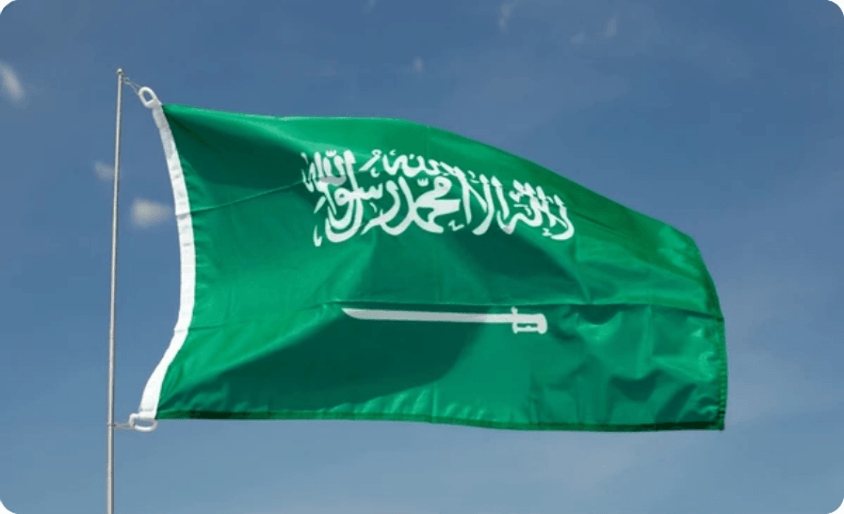 wmremove-transformed (12).png