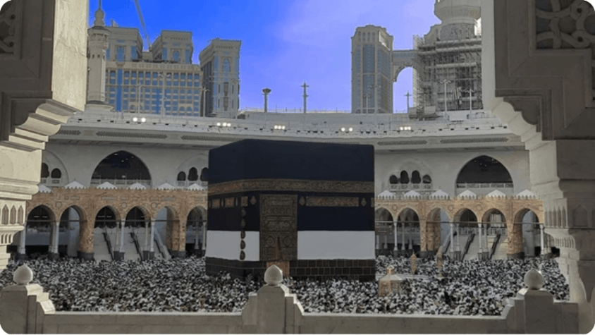 wmremove-transformed(51).png