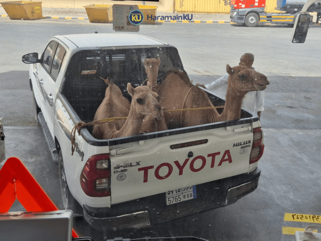 2 Agustus 2025 Umroh HaramainKU