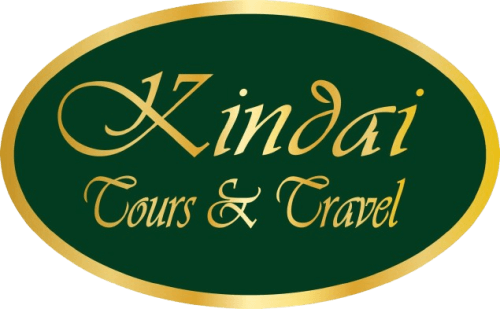 kindaitoursandtravel.com