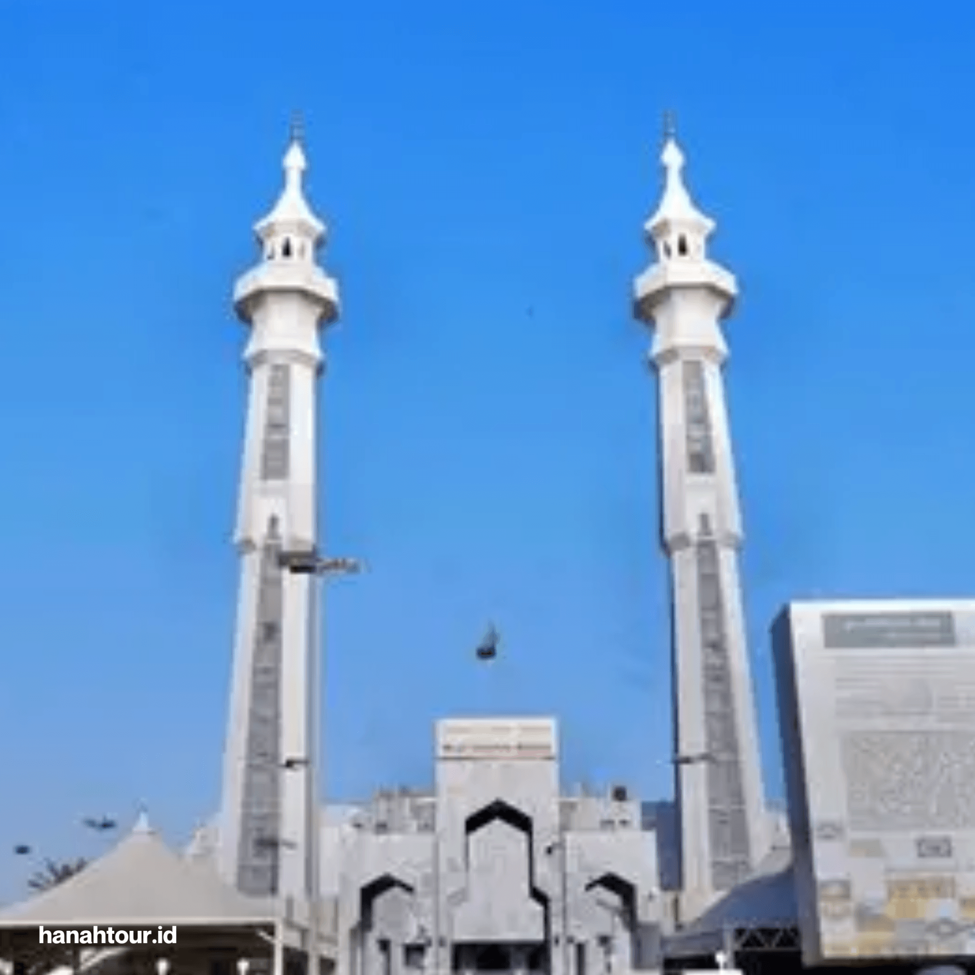 Salinan dari Salinan Copy of Copy of Copy of MoreDetails at(5).png