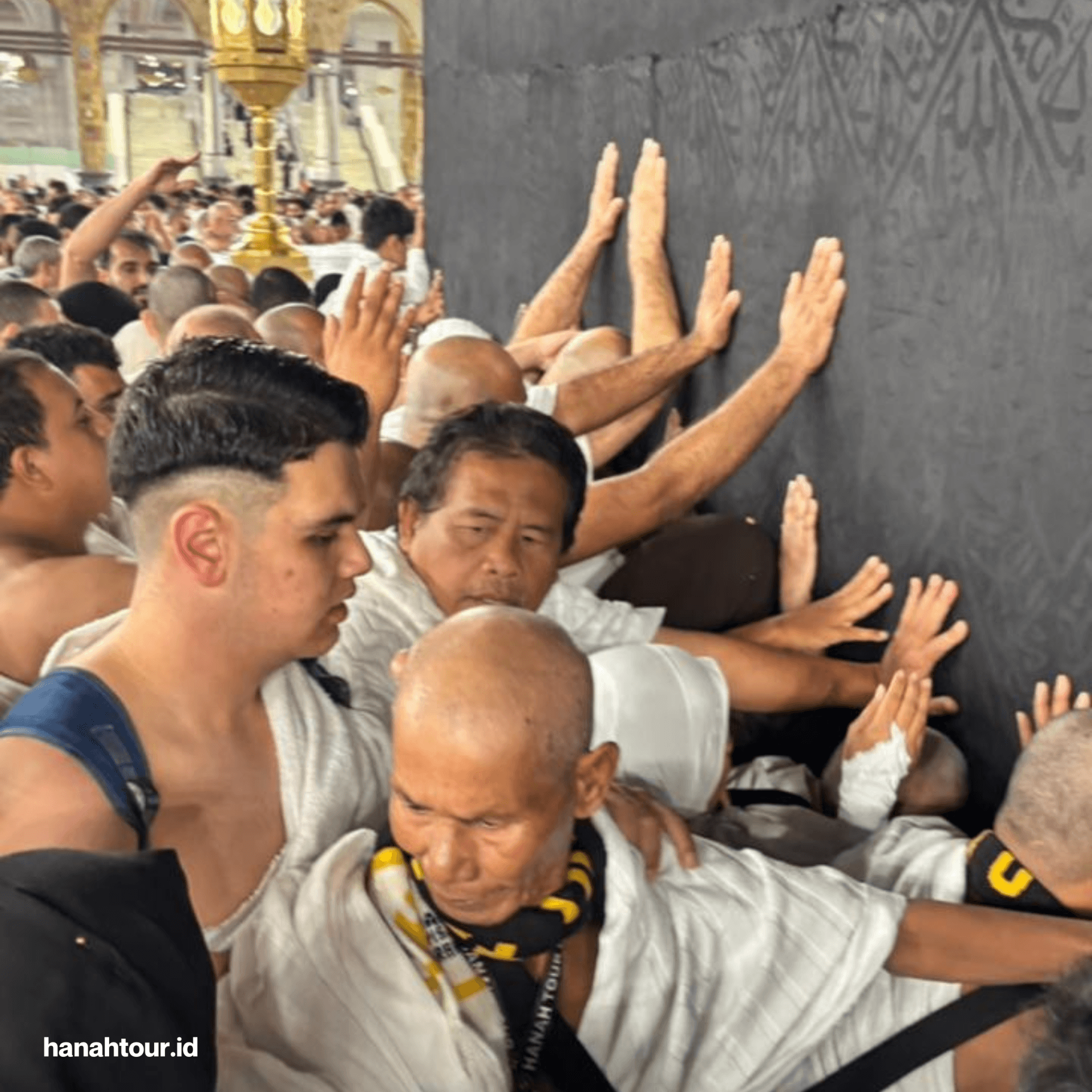 Salinan dari Salinan Copy of Copy of Copy of MoreDetails at.png