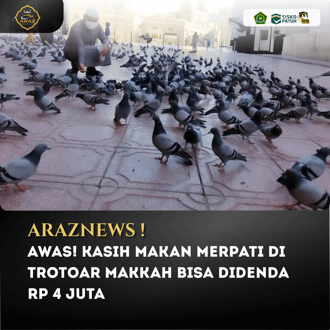 Awas! Kasih Makan Merpati di Trotoar Makkah Bisa Didenda Rp 4 Juta.png