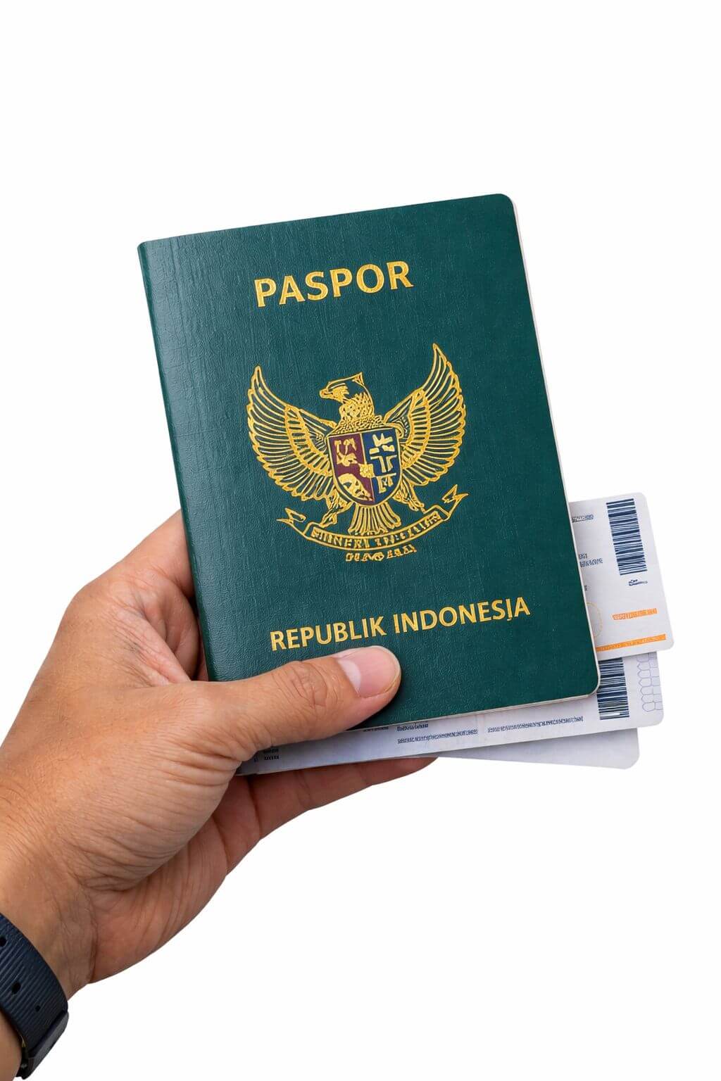 thumbnail 12 jan_2.jpg