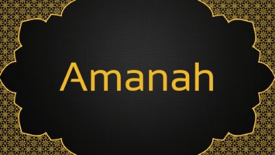 Sunnah Travel