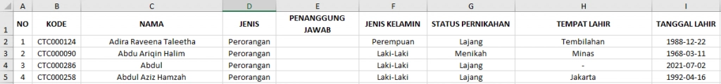 data pelanggan perorangan.png