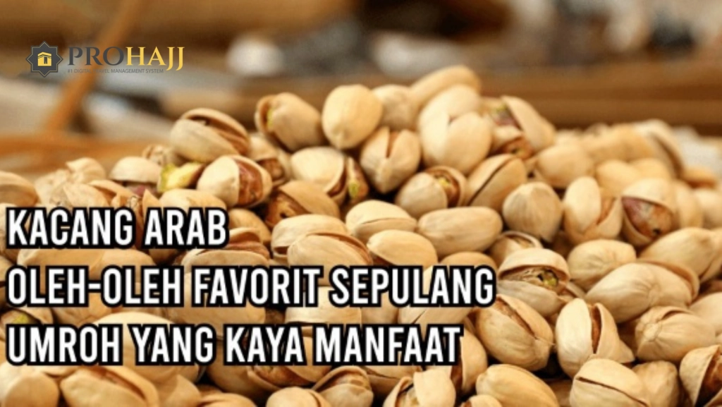Thumbnail (21).png