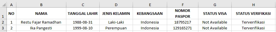 excel manifest visa.png