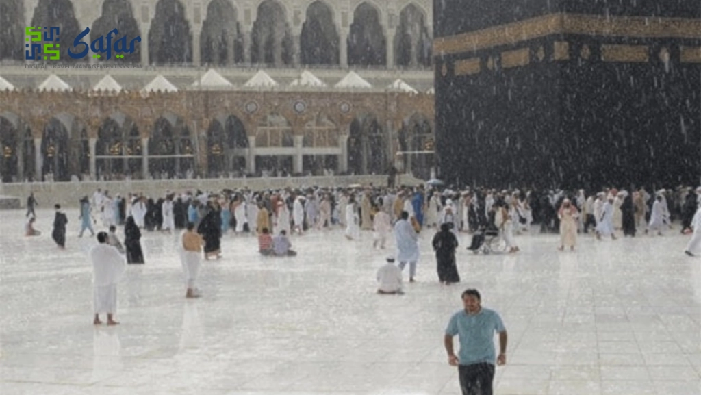 Desain tanpa judul (55).png